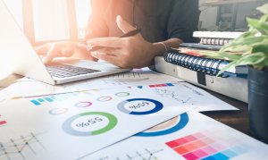 how to monitor your budget